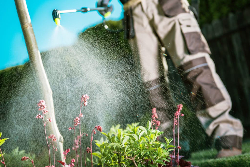 Spraying Monsanto Roundup